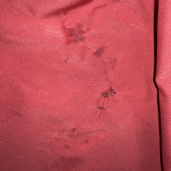 Madewell Posy Cactus Flower Dress Spiced Rose Sz 6 J0296 - Picture 12 of 12